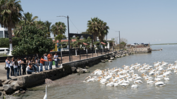 Terranova students photograph pelican migration in Petatán